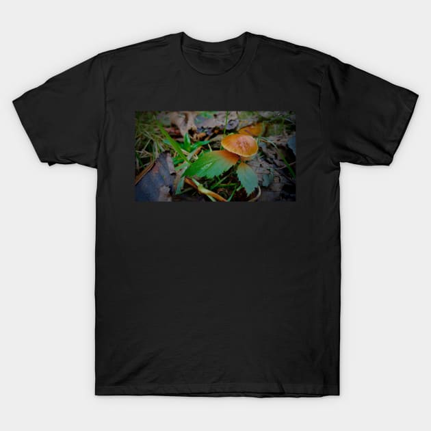 Little Orange Mushroom T-Shirt by Rebekah Slick